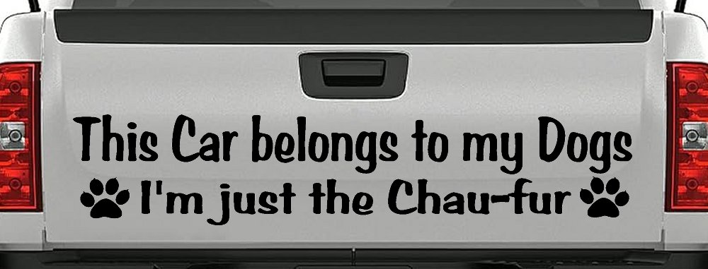 This Car Belongs To My Dog Im Just The Chaufur Animals Car or Truck Window Vinyl Decal Sticker (Black)