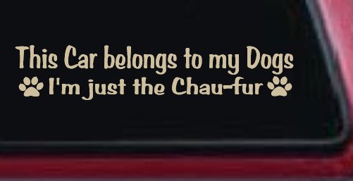 This Car Belongs To My Dog Im Just The Chaufur Animals Car or Truck Window Decal Sticker (Desert Sand)