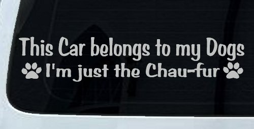 This Car Belongs To My Dog Im Just The Chaufur Animals Car or Truck Window Decal Sticker (Light Gray)