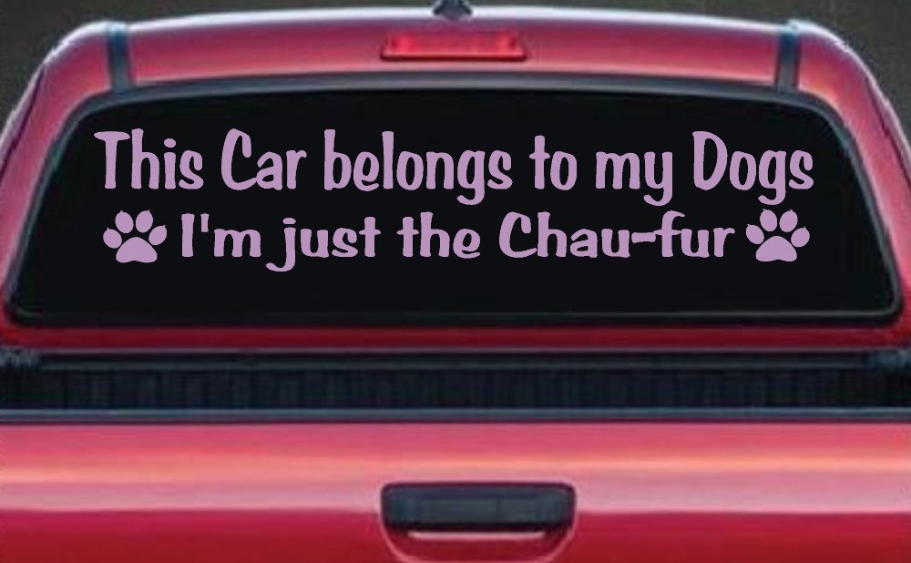 This Car Belongs To My Dog Im Just The Chaufur Animals Car or Truck Window Vinyl Decal Sticker (Lilac)