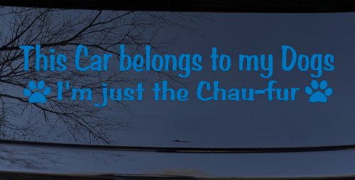 This Car Belongs To My Dog Im Just The Chaufur Animals Car or Truck Window Vinyl Decal Sticker (Sky Blue)