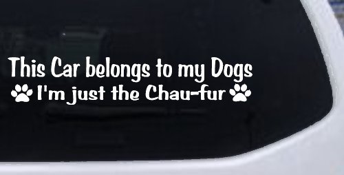 This Car Belongs To My Dog Im Just The Chaufur Animals Car or Truck Window Decal Sticker