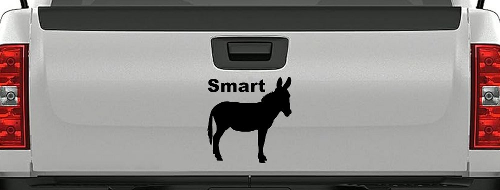 Smart Ass Funny Car or Truck Window Decal Sticker