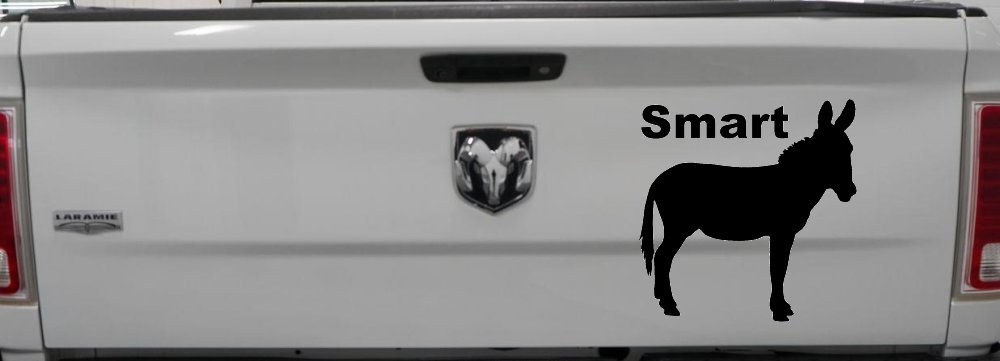 Smart Ass Funny Car or Truck Window Decal Sticker