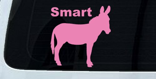 Smart Ass Funny Car or Truck Window Decal Sticker (Pink)