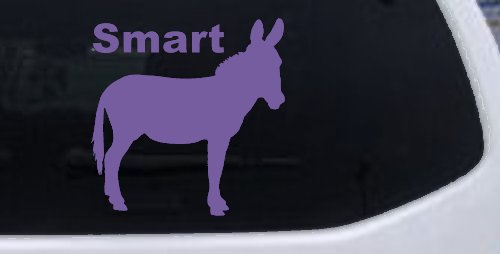 Smart Ass Funny Car or Truck Window Decal Sticker (Purple)