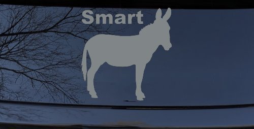 Smart Ass Funny Car or Truck Window Decal Sticker