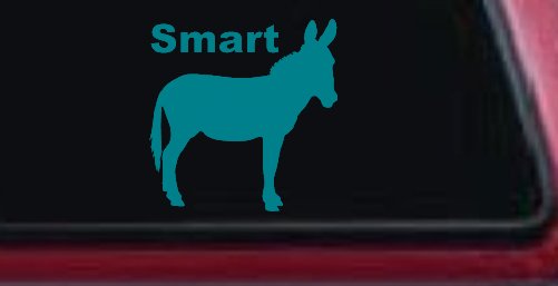 Smart Ass Funny Car or Truck Window Decal Sticker