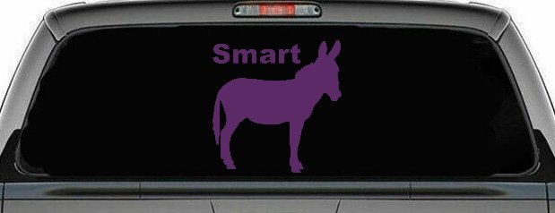 Smart Ass Funny Car or Truck Window Decal Sticker (Violet)