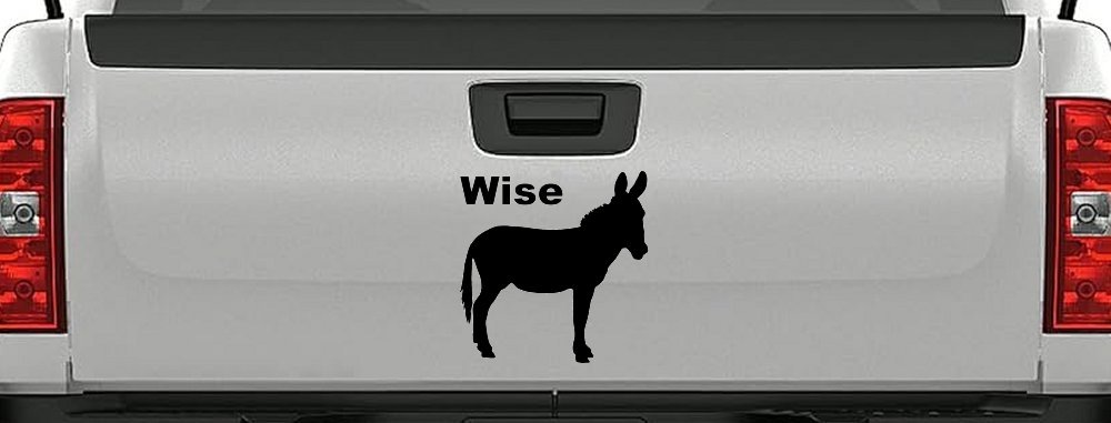 Wise Ass Funny Car or Truck Window Decal Sticker (Black)