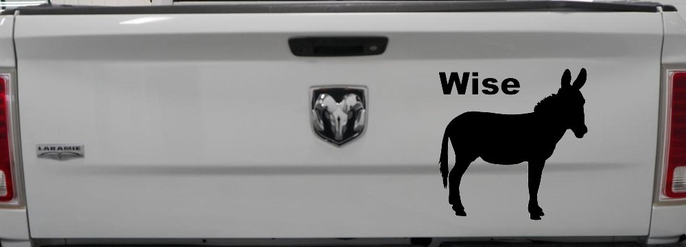 Wise Ass Funny Car or Truck Window Vinyl Decal Sticker (Black)