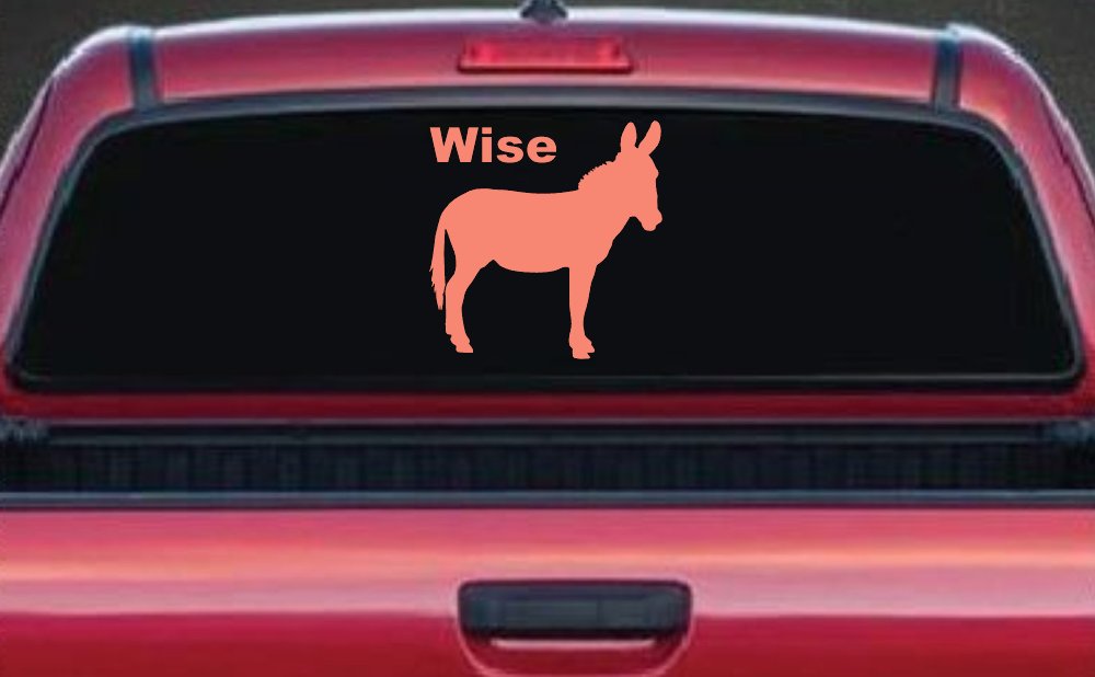 Wise Ass Funny Car or Truck Window Decal Sticker