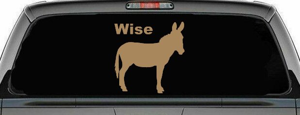 Wise Ass Funny Car or Truck Window Vinyl Decal Sticker (Light Brown)