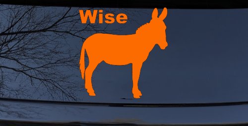 Wise Ass Funny Car or Truck Window Decal Sticker (Orange)