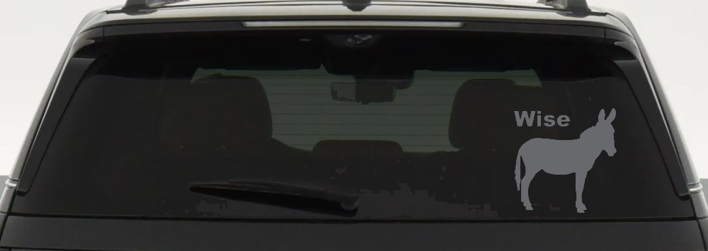 Wise Ass Funny Car or Truck Window Decal Sticker (Silver)