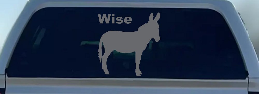 Wise Ass Funny Car or Truck Window Decal Sticker (Silver)