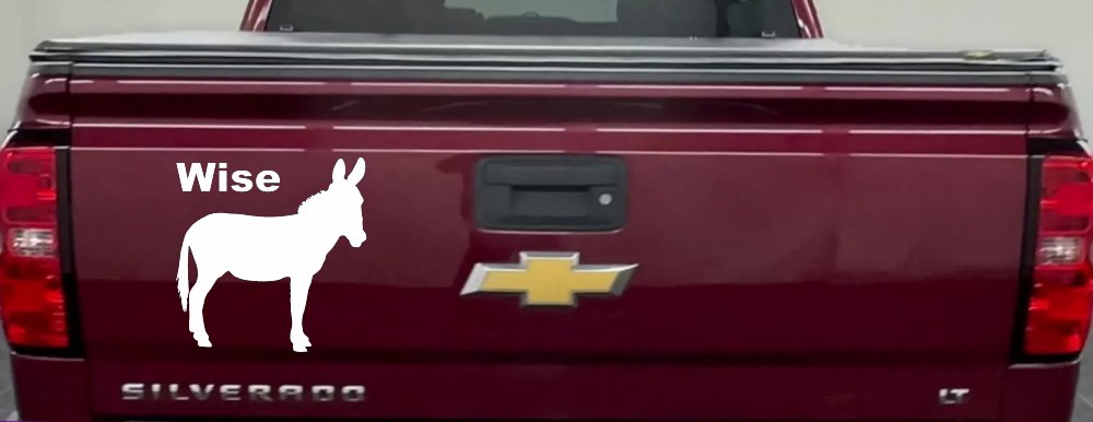Wise Ass Funny Car or Truck Window Decal Sticker