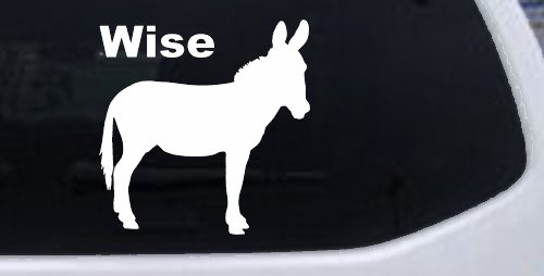 Wise Ass Funny Car or Truck Window Vinyl Decal Sticker (White)