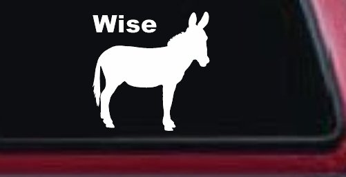 Wise Ass Funny Car or Truck Window Decal Sticker (White)