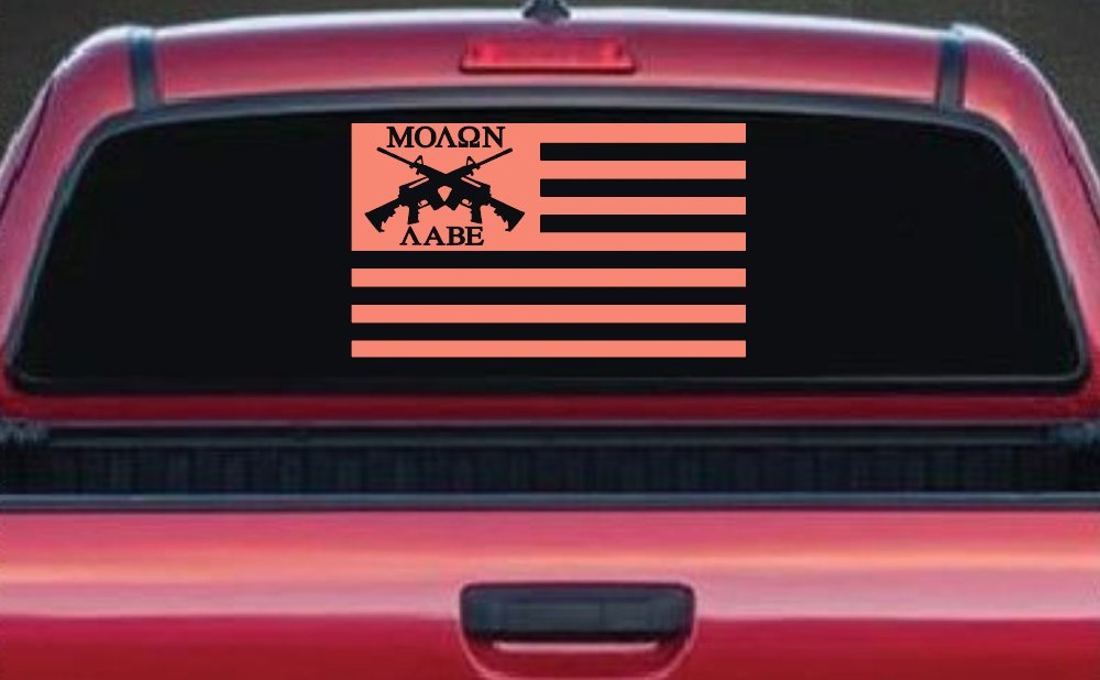 Molon Labe American Flag AR 15 Guns Guns Car or Truck Window Decal Sticker (Coral)