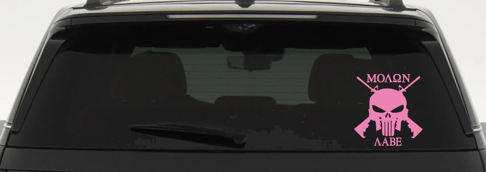 Molon Labe come and take them Punisher Skull AR 15 Guns Guns Car or Truck Window Decal Sticker (Pink)