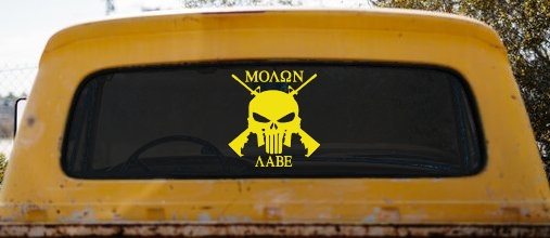 Molon Labe come and take them Punisher Skull AR 15 Guns Guns Car or Truck Window Decal Sticker
