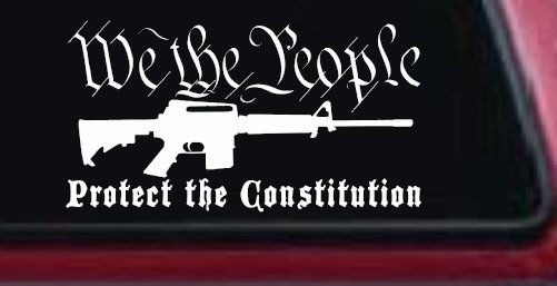 We The People Protect The Constitution AR 15 Guns Car or Truck Window Decal Sticker (White)