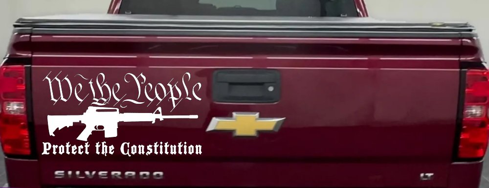 We The People Protect The Constitution AR 15 Guns Car or Truck Window Decal Sticker