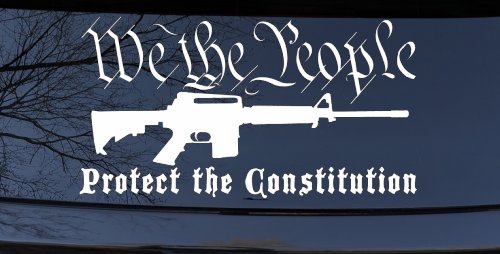We The People Protect The Constitution AR 15 Guns Car or Truck Window Decal Sticker