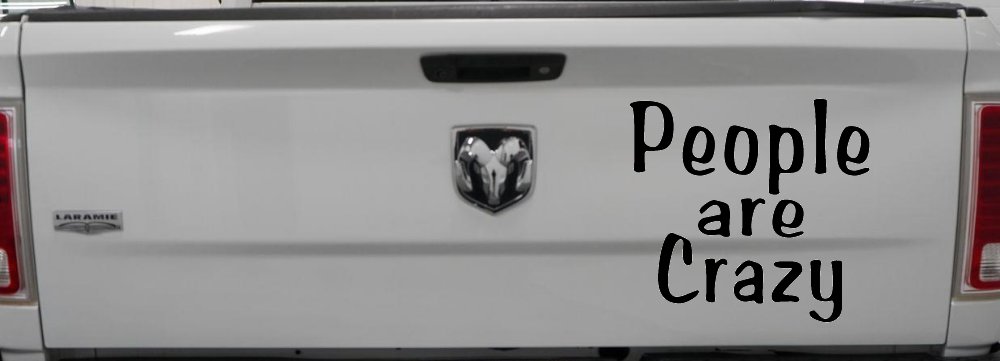 People Are Crazy Funny Car or Truck Window Decal Sticker