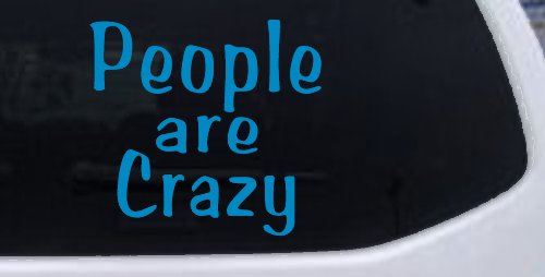 People Are Crazy Funny Car or Truck Window Decal Sticker