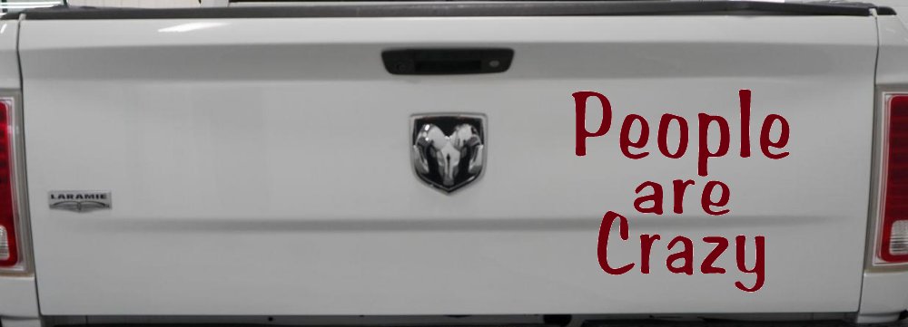 People Are Crazy Funny Car or Truck Window Decal Sticker