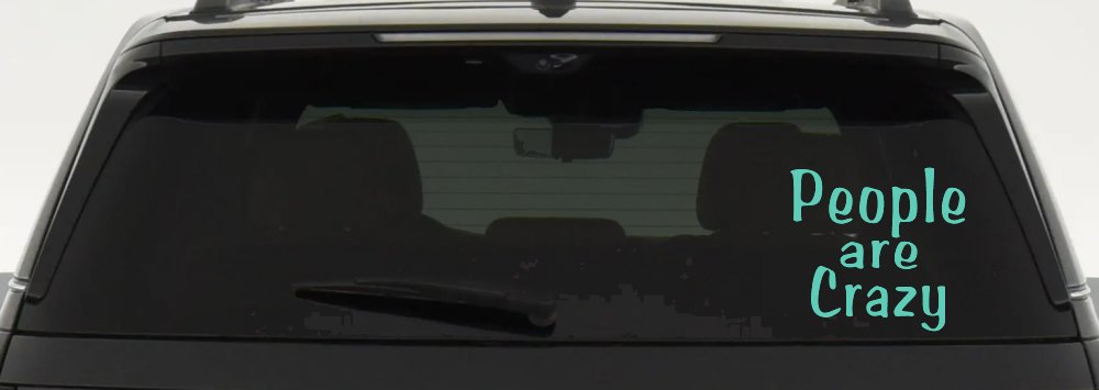People Are Crazy Funny Car or Truck Window Decal Sticker (Mint)