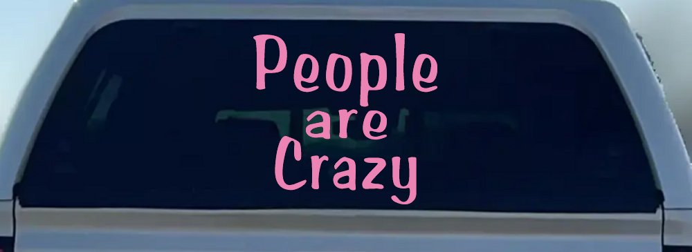 People Are Crazy Funny Car or Truck Window Decal Sticker