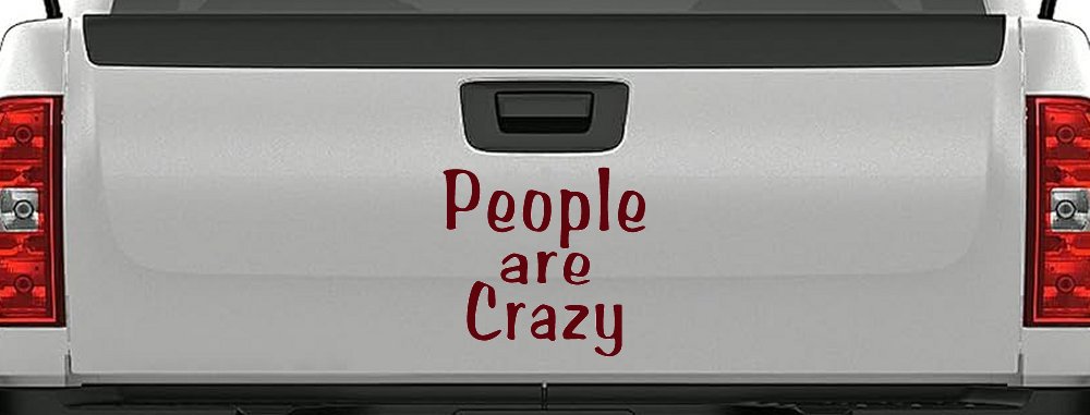 People Are Crazy Funny Car or Truck Window Decal Sticker (Purple Red)