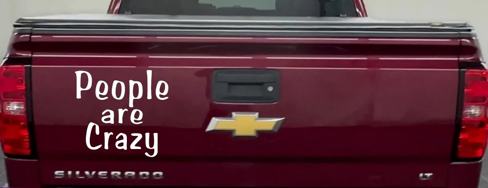 People Are Crazy Funny Car or Truck Window Decal Sticker (White)