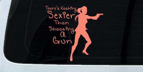 Theres Nothing Sexier Than Shooting A Gun Guns Car or Truck Window Decal Sticker