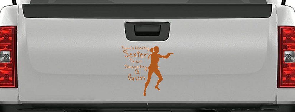 Theres Nothing Sexier Than Shooting A Gun Guns Car or Truck Window Decal Sticker (Nut Brown)