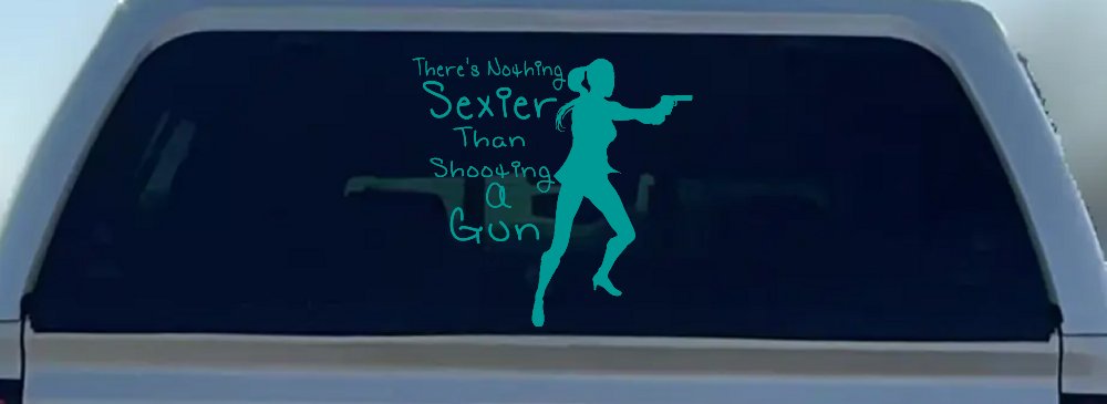 Theres Nothing Sexier Than Shooting A Gun Guns Car or Truck Window Decal Sticker