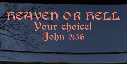 Heaven Or Hell Your Choice John 3 36 Christian Car or Truck Window Decal Sticker (Coral)