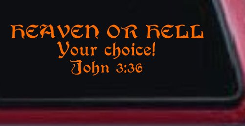 Heaven Or Hell Your Choice John 3 36 Christian Car or Truck Window Decal Sticker (Orange)