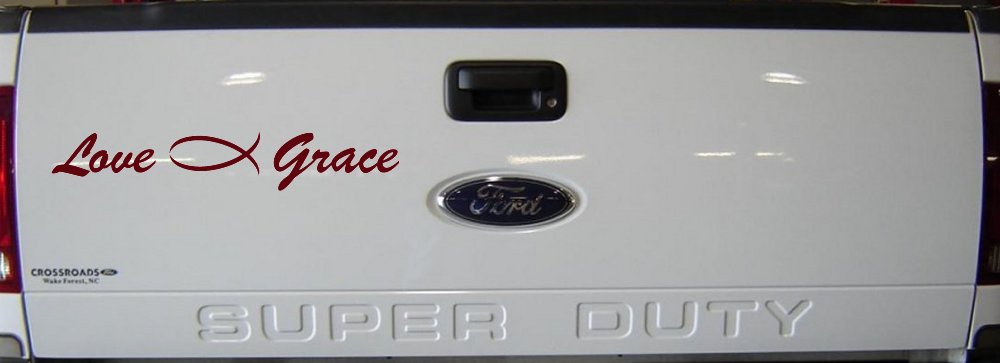 Love Christian Fish Grace Car or Truck Window Decal Sticker (Purple Red)