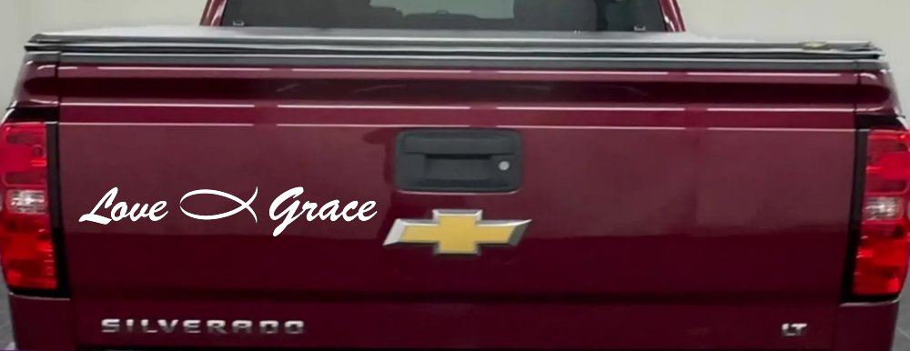 Love Christian Fish Grace Car or Truck Window Vinyl Decal Sticker (White)