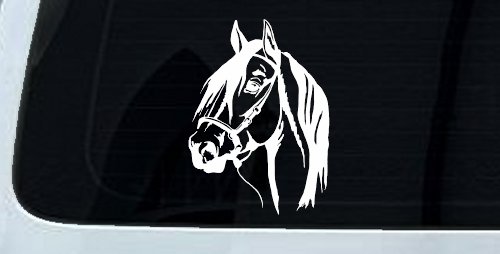 Dark Mane Horse Head Car or Truck Window Decal Sticker