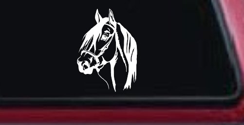 Dark Mane Horse Head Car or Truck Window Vinyl Decal Sticker (White)