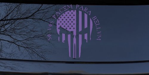 Punisher Skull US American Flag Si Vis Pacem Para Bellum Guns Car or Truck Window Decal Sticker