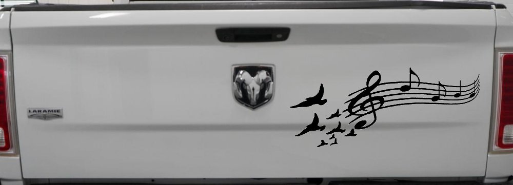 Birds to Music Scale Notes Music Car or Truck Window Decal Sticker (Black)