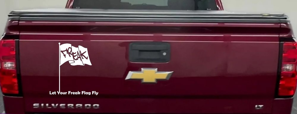 Let Your Freak Flag Fly Funny Car or Truck Window Decal Sticker (White)