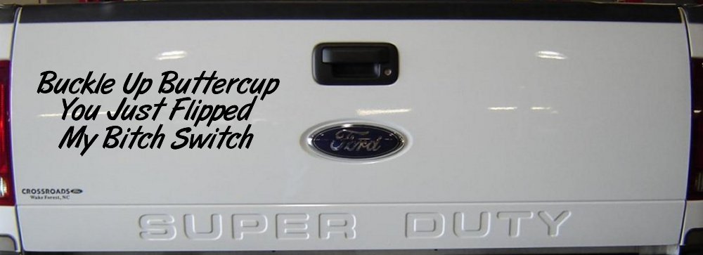 Buckle Up Buttercup You Just Flipped My Bitch Switch Funny Car or Truck Window Decal Sticker