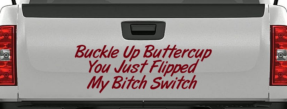 Buckle Up Buttercup You Just Flipped My Bitch Switch Funny Car or Truck Window Decal Sticker